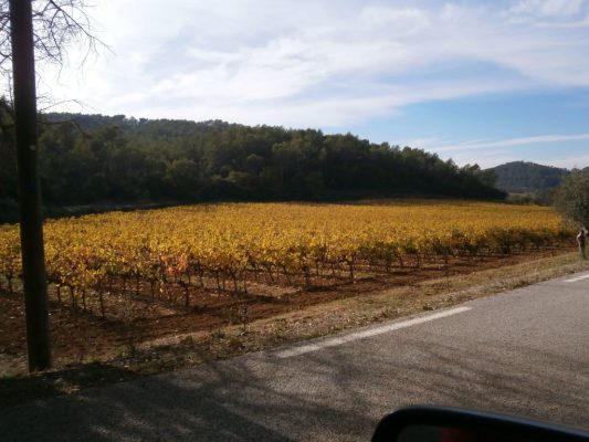 carces domaine